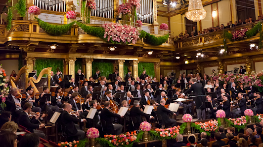 Новогодний концерт 2011 Венского филармонического оркестра