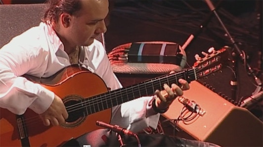 Juan Carmona, Le Flamenco à fleur de peau