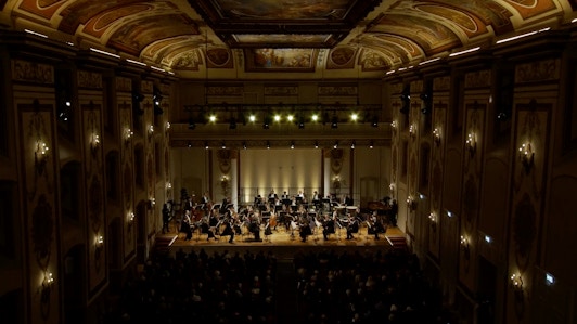 Камерный оркестр Европы исполняет Гайдна, Моцарта, Сая и Бетховена — С Фазылом Саем