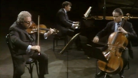 The Istomin-Stern-Rose Trio plays Brahms
